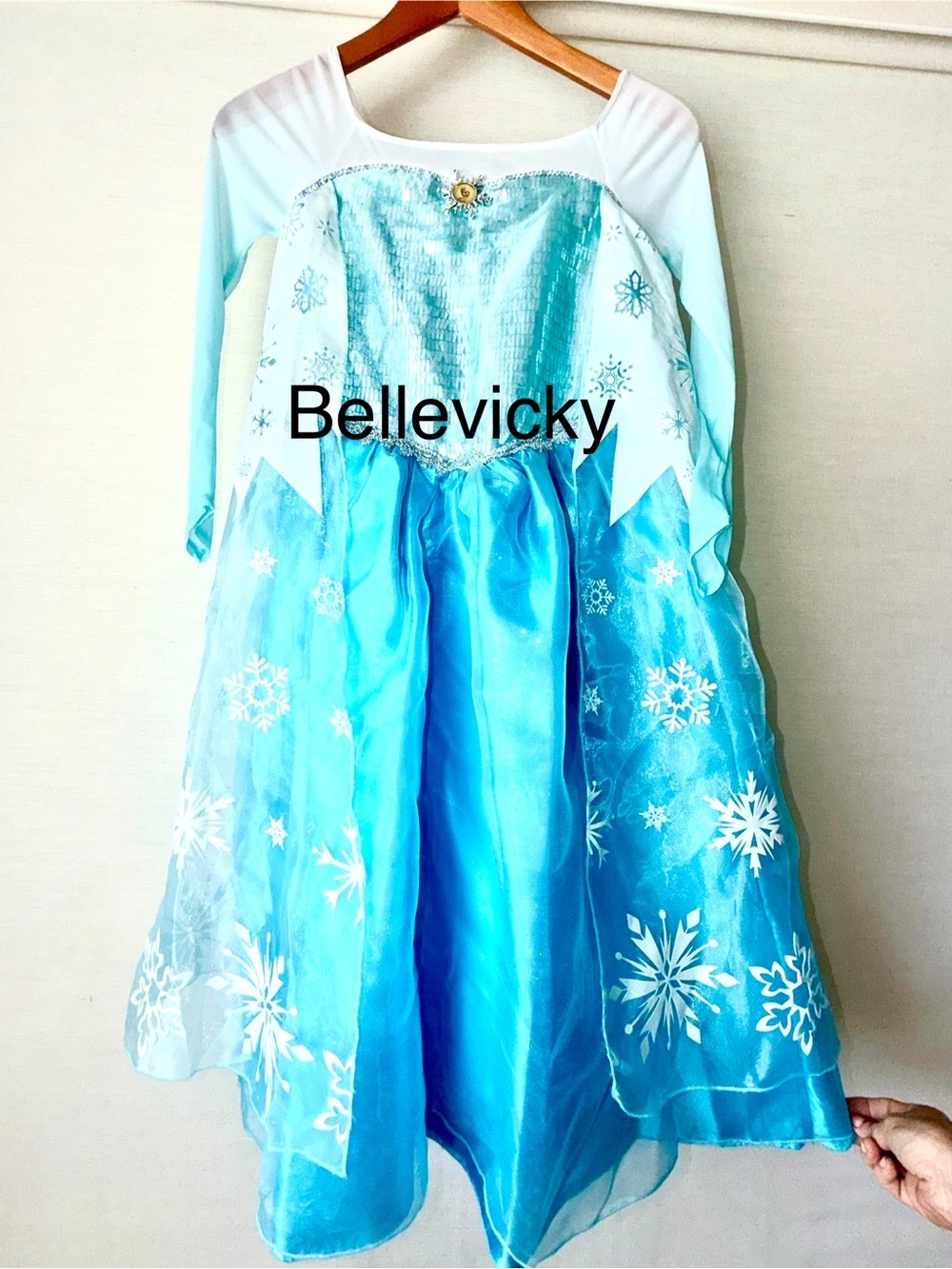 Disney Store Elsa Deluxe Limited Edition Costume Dress Size 9/10 Frozen